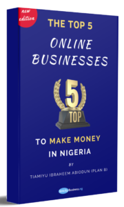 THE TOP 5 ONLINE BUSINESSES TO MAKE MONEY IN NIGERIA